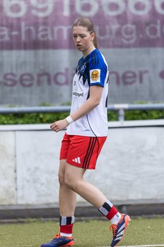 Bild 251 - wBJ Hamburger SV - FC Suederelbe : Ergebnis: 9:0